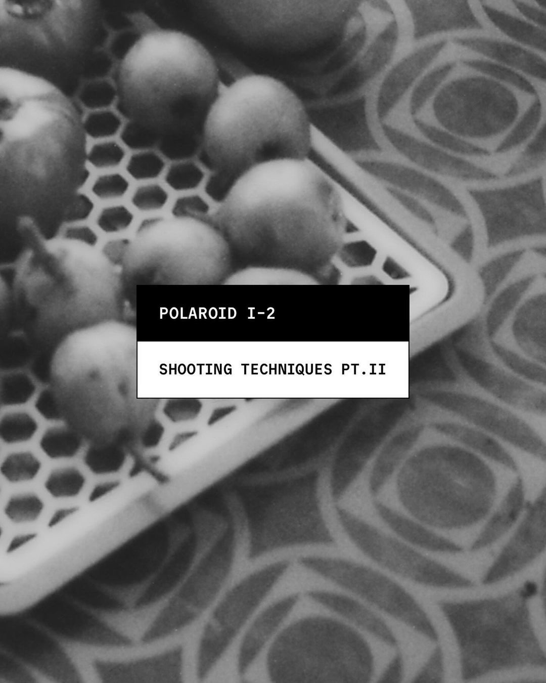 Photo shared by Polaroid on July 25, 2024 tagging @newshatavakolian. May be a black-and-white image of apple, pear, pomegranate and text.
