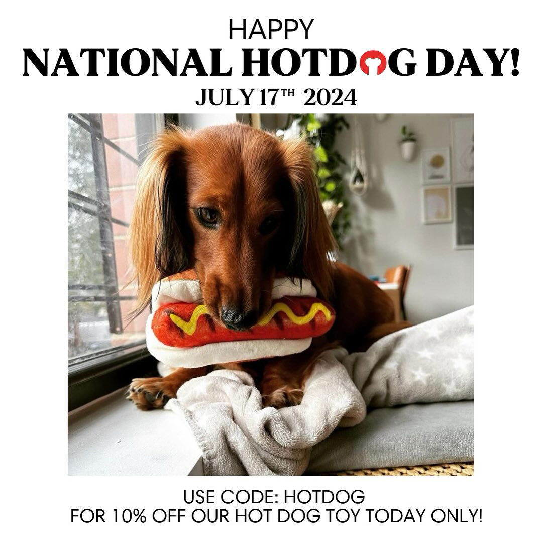 Photo by fabdog® on July 17, 2024. May be an image of dachshund, hotdog and text.