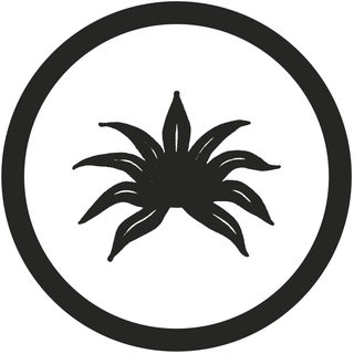 Agavedenim.com