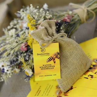 Beebombsireland.com 1 Beebombsireland.com