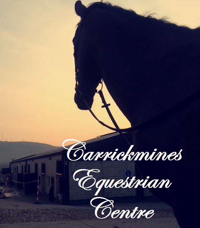 Carrickmines Equestrian.ie