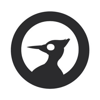 Carveon.com