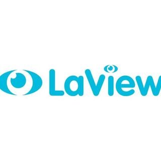 Laviewsecurity.com
