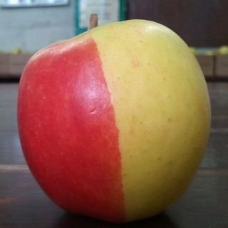 The apple farm.com