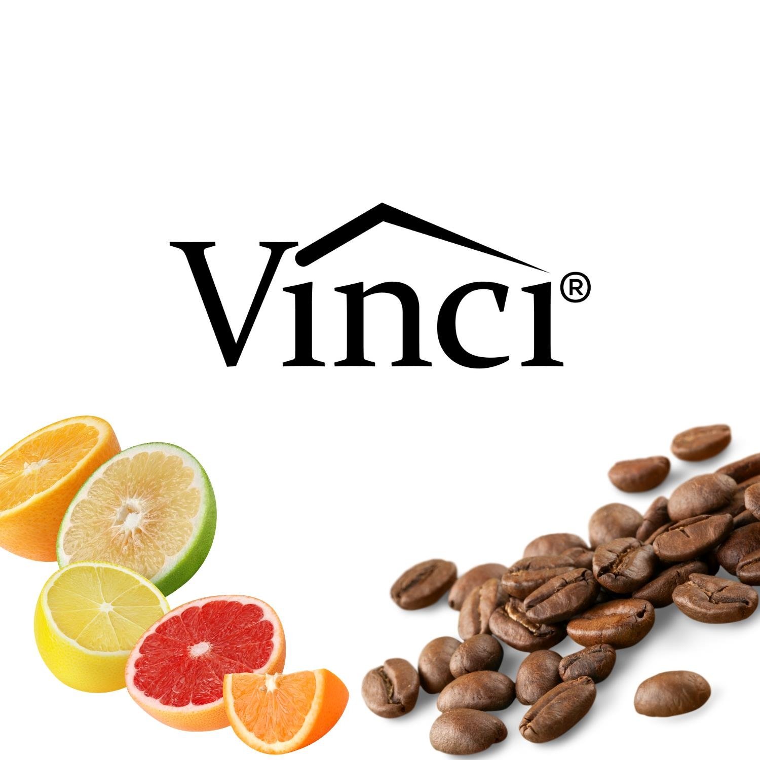 Vinci housewares.com