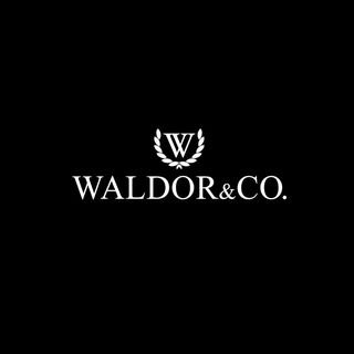 Waldor watches.com