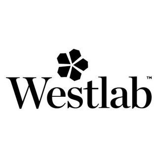 Westlab salts.co.uk