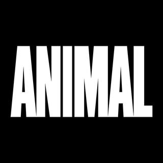 Animal pak.com