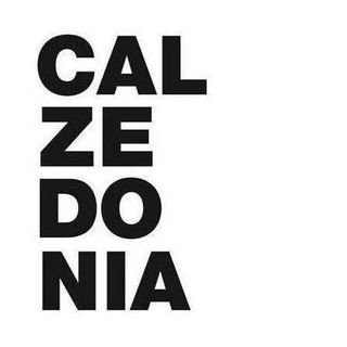 Calzedonia.com