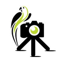 Camera Jungle.co.uk