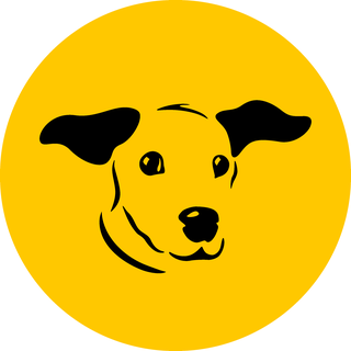 Dogs Trust Shop.ie