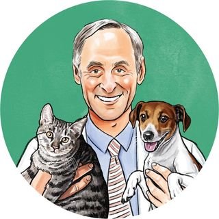 Dr marty pets.com