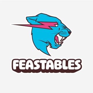 Feastables.com