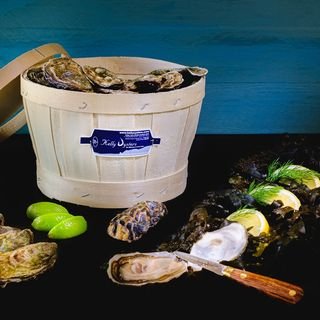 Kelly oysters.com