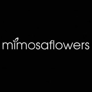 Mimosa Flowers.ie