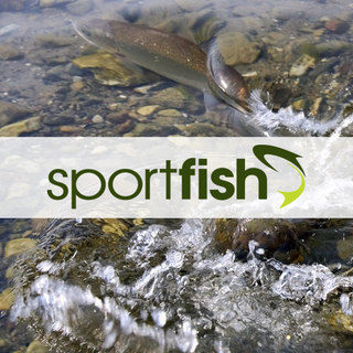 Sportfish.co.uk