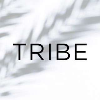 Tribe kelley.com