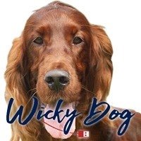 Wickydog.com