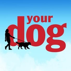 Yourdog.co.uk