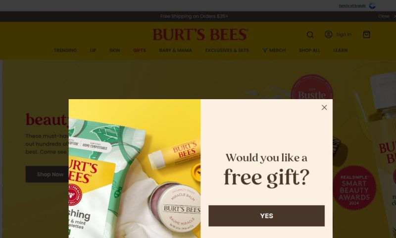 Burts bees USA