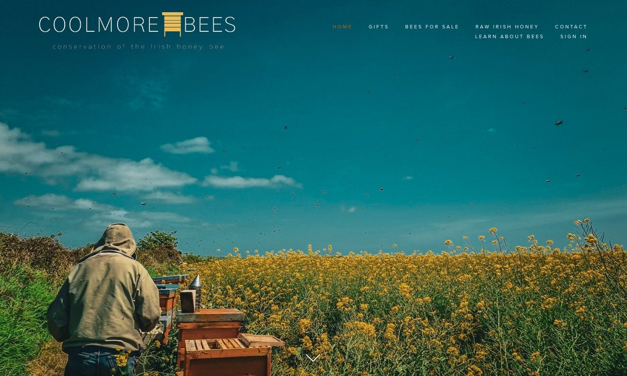 Coolmore bees.com 1